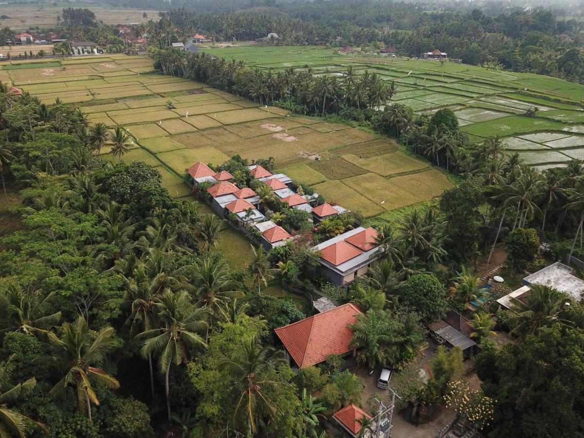 Asri Sari Ubud Villa & Resort Kültér fotó