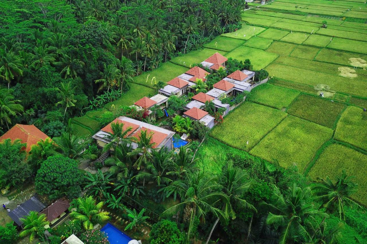 Asri Sari Ubud Villa & Resort Kültér fotó